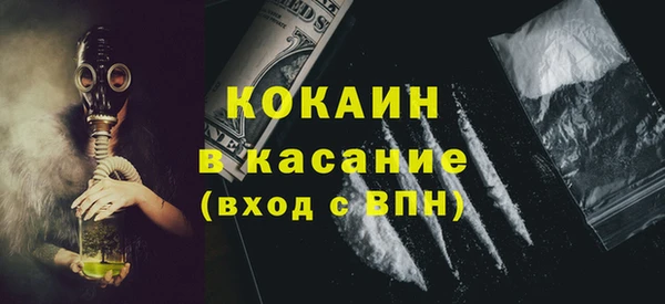 сатива Аркадак