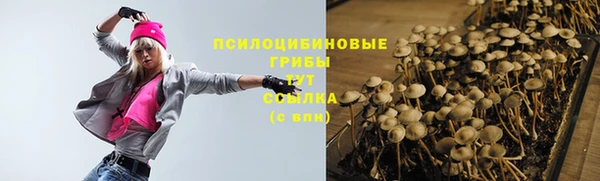 трава Армянск