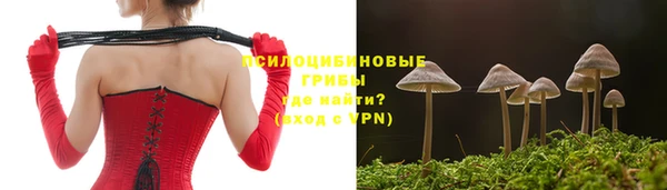 ALPHA-PVP Алексин
