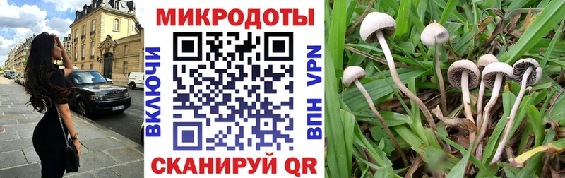 Псилоцибиновые грибы прущие грибы  Таруса 